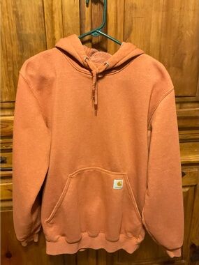 Carhartt Men's K288 Graphic Logo Sleeve Hoodie Burnt Sienna Orange Small S